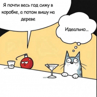 «Идеально…»: психоаналитическая зарисовка о кошачьей зависти к новогоднему шару - Елена Нечаева: психолог, психоаналитик, коуч в Екатеринбурге и онлайн